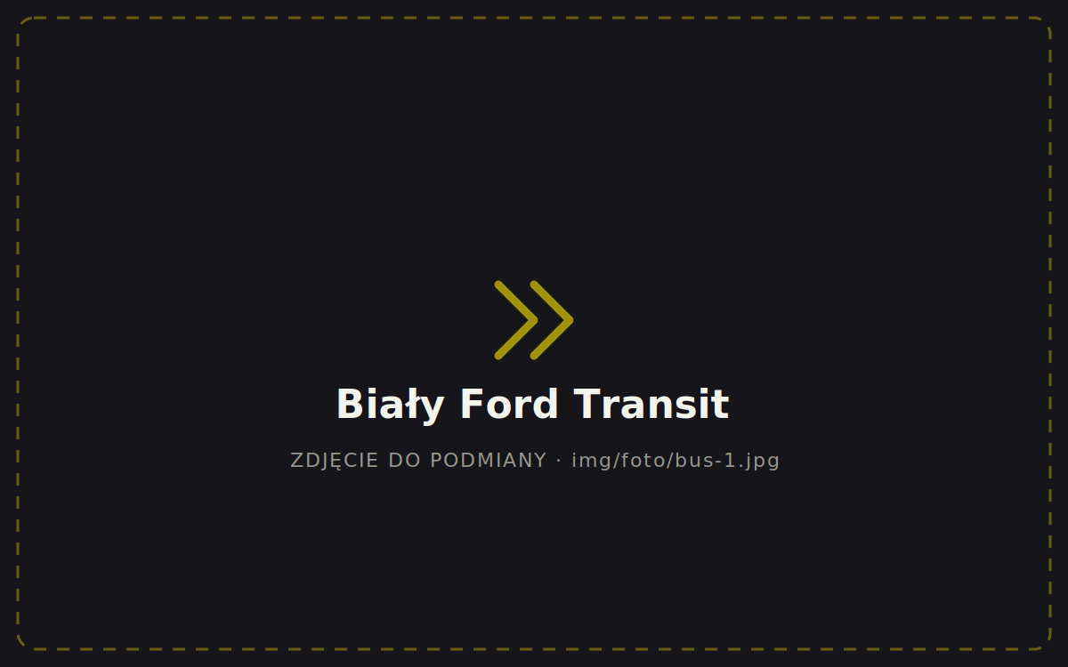 Biały Ford Transit